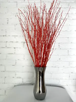 73 cm Ecovenik Orange - Red Birch Branches - Natural Birch Twigs, Pack of 20-25 Stems, 29 inches Long - Perfect for Floor Vases and Striking Colorful Decor