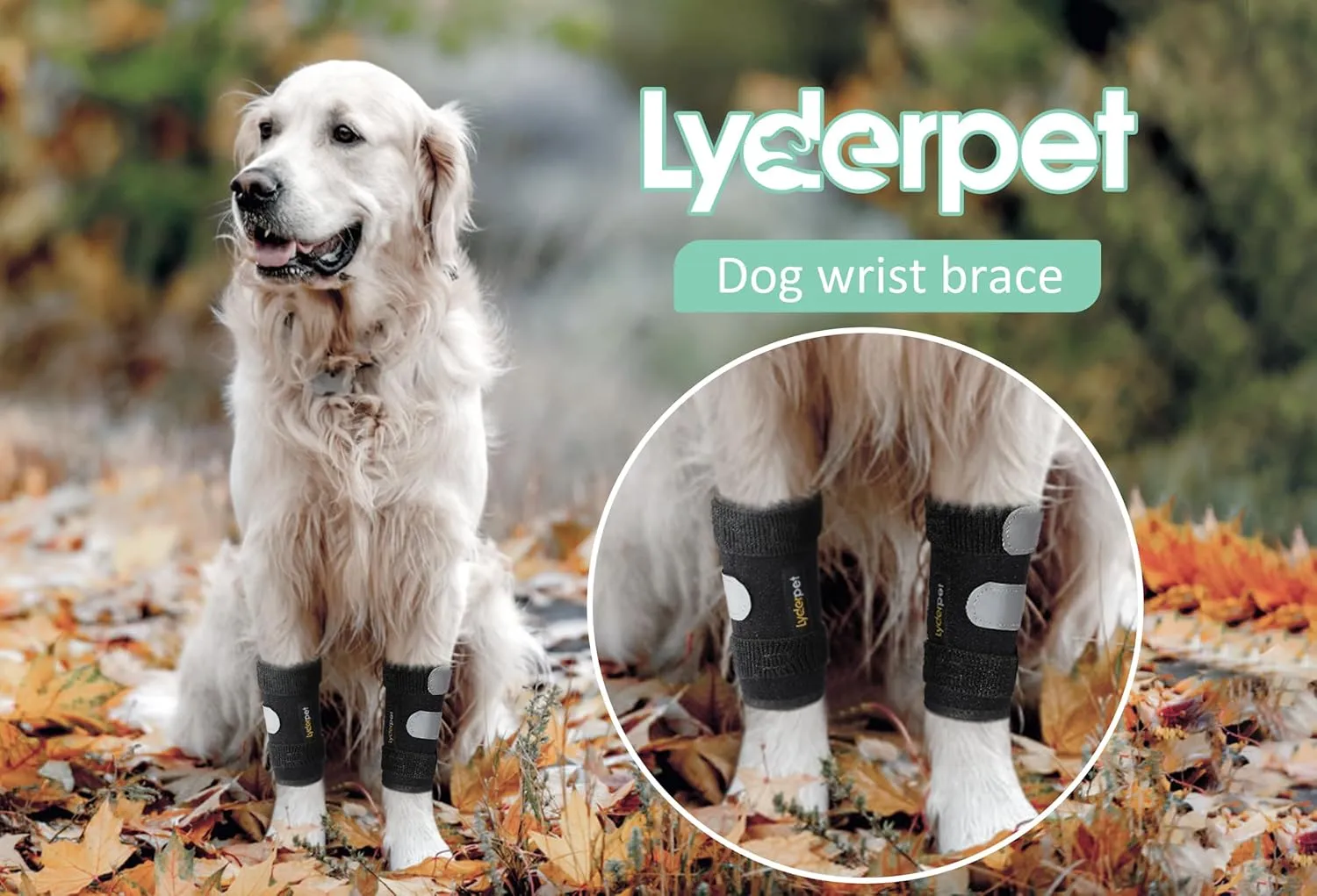Dog Leg Brace Front Wrist or Carpal Support for Canine Dogs, Brace Compression Wraps with Metal Splints, Prevents Ankle Injuries&Sprains, Helps with Loss of Stability Caused by Arthritis