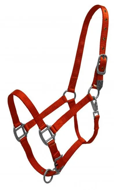 Showman® Premium nylon halter