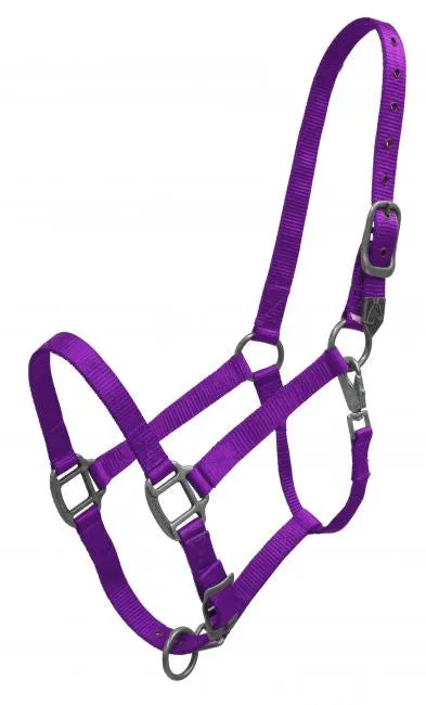 Showman® Premium nylon halter