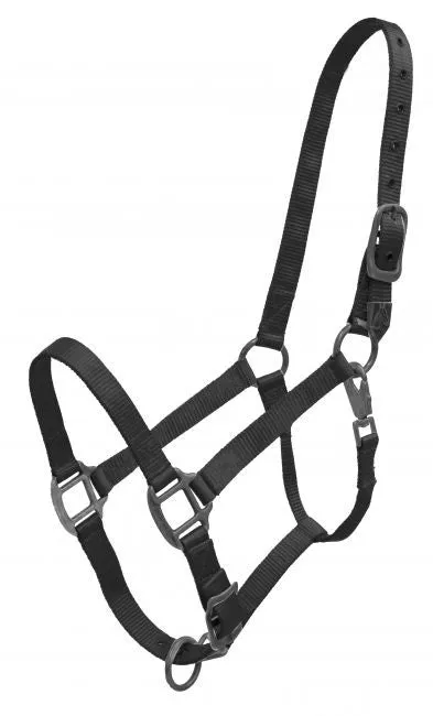 Showman® Premium nylon halter