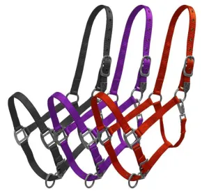 Showman® Premium nylon halter